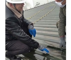 T9303無溶劑環(huán)氧防腐底漆